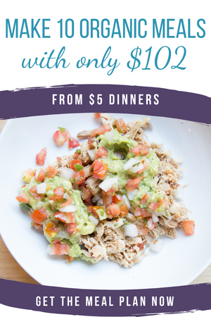 10 Meals for $102 - The All Organic Meals Plan - Erin Chase Store