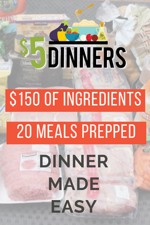 20 Meals for $150 - The Original Meal Plan #1 - Erin Chase Store