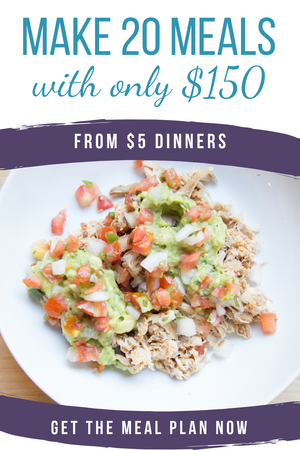 20 Meals for $150 - Slow Cooker Freezer Packs #2 - Erin Chase Store