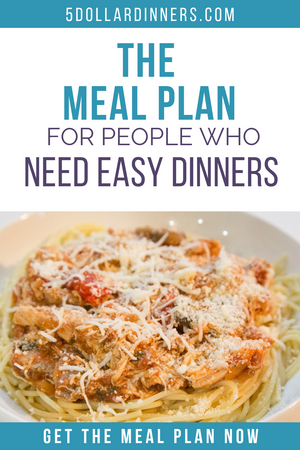 20 Meals for $150 - Slow Cooker Freezer Packs #2 - Erin Chase Store