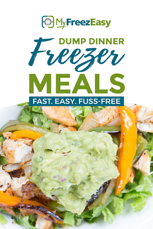 Cookbook - Freezer Friendly Dump Dinners - Erin Chase Store