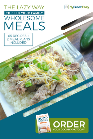 Cookbook - Freezer Friendly Dump Dinners - Erin Chase Store
