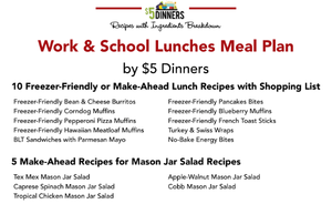 20 Meals for $150 - Work & School Lunches - Erin Chase Store