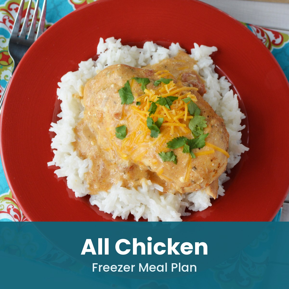 All Chicken freezer meal plan: cheesy salsa chicken over white rice