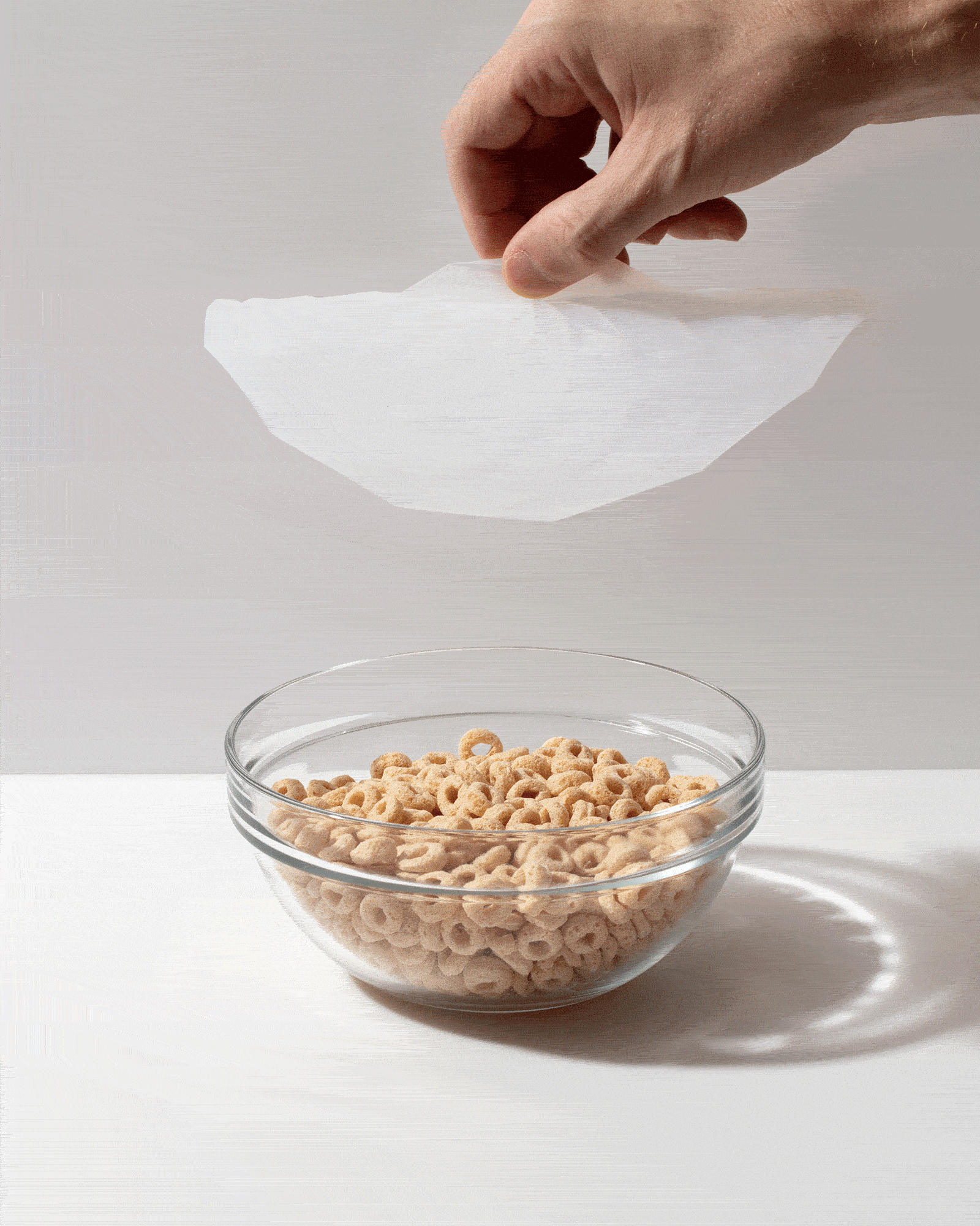 Bowl Cover & Suction Lids {10-Pack}