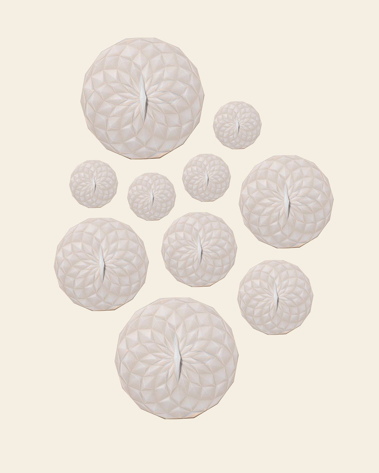 Silicone Suction Lids 10 pack Pearl
