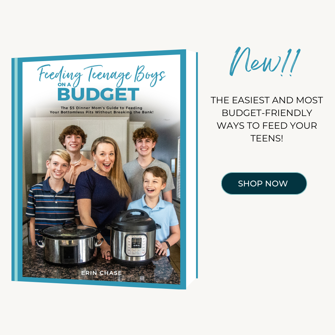 DIGITAL PDF: Feeding Teenage Boys on a Budget Cookbook - Erin Chase Store