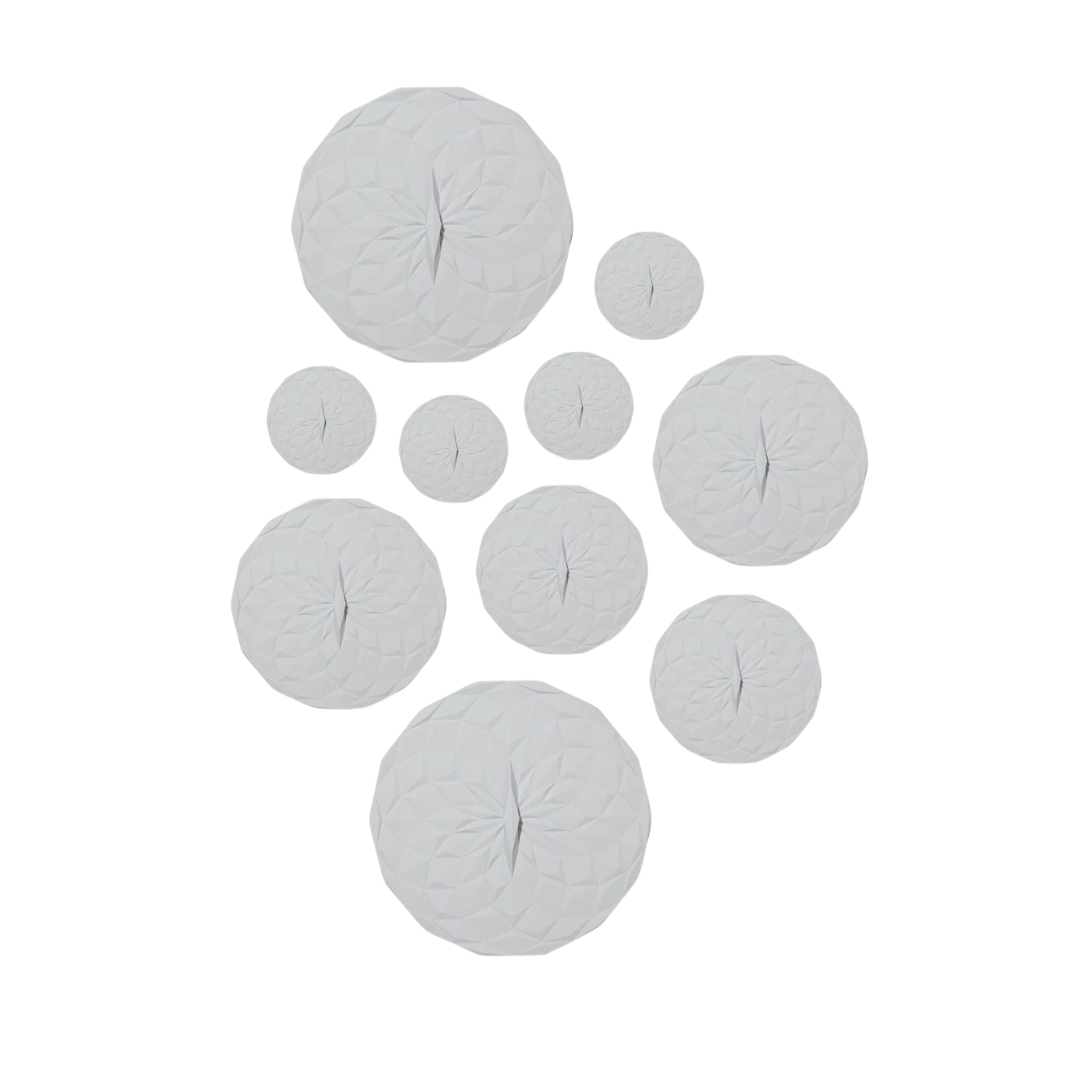 Bowl Cover &amp; Suction Lids {10-Pack}