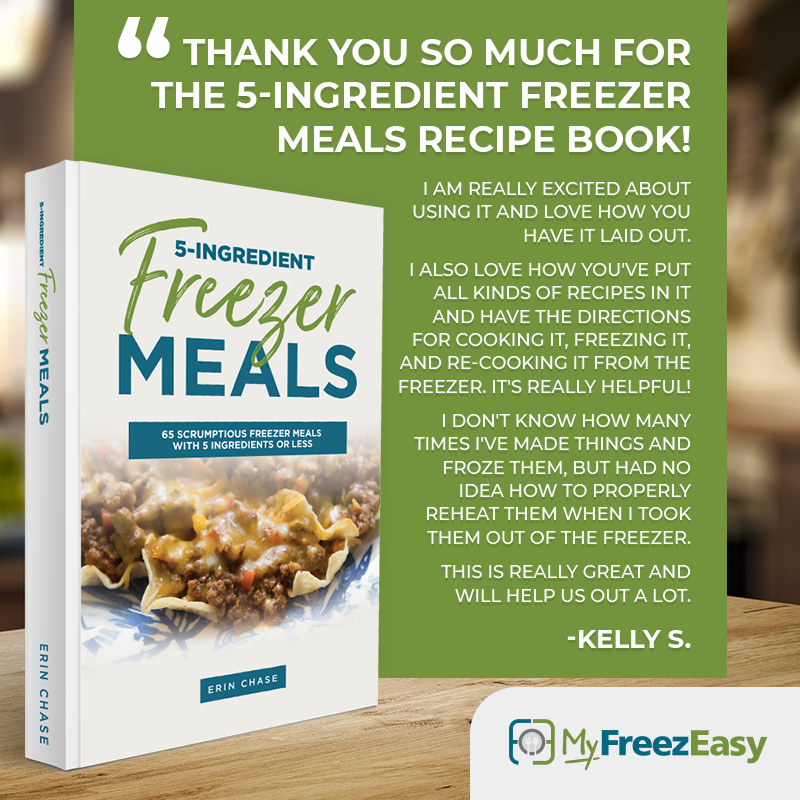 Book & Labels Kit for 5-Ingredient Freezer Meals - Erin Chase Store