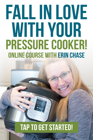 EPC101: Online Course & Pinch Mitts - Erin Chase Store