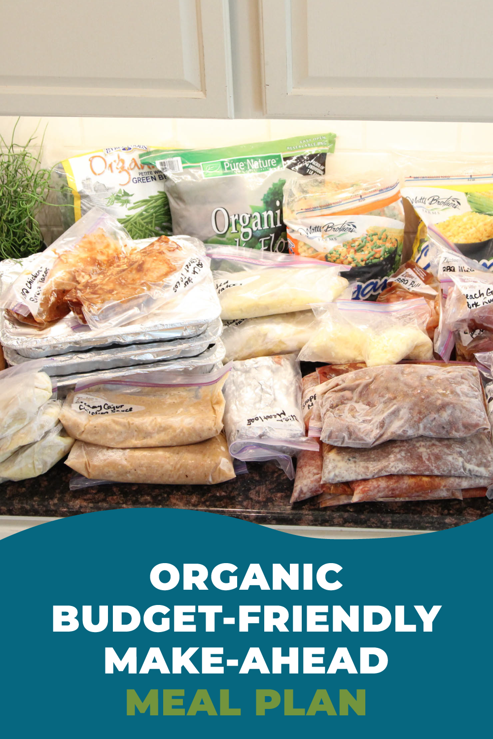 Freezer Friendly Organic Meals: PDF + BAG HOLDERS - Erin Chase Store