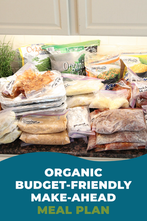 Freezer Friendly Organic Meals: DIGITAL & PRINTED PDF + BAG HOLDERS - Erin Chase Store