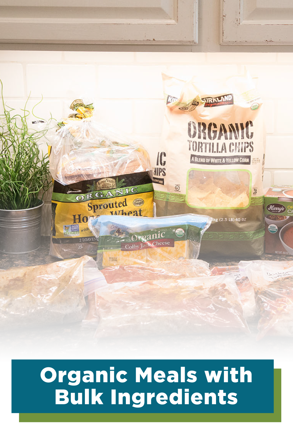 Freezer Friendly Organic Meals: DIGITAL & PRINTED PDF + BAG HOLDERS - Erin Chase Store