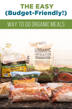 Freezer Friendly Organic Meals: PDF + BAG HOLDERS
