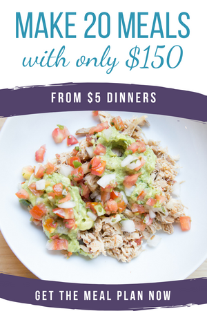 make 20 meals with only $150