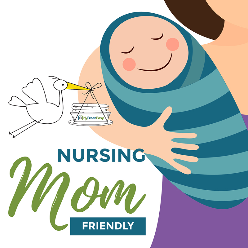 The “Nursing Mom Friendly” Freezer Meal Plan {PDF Download} - Erin Chase Store
