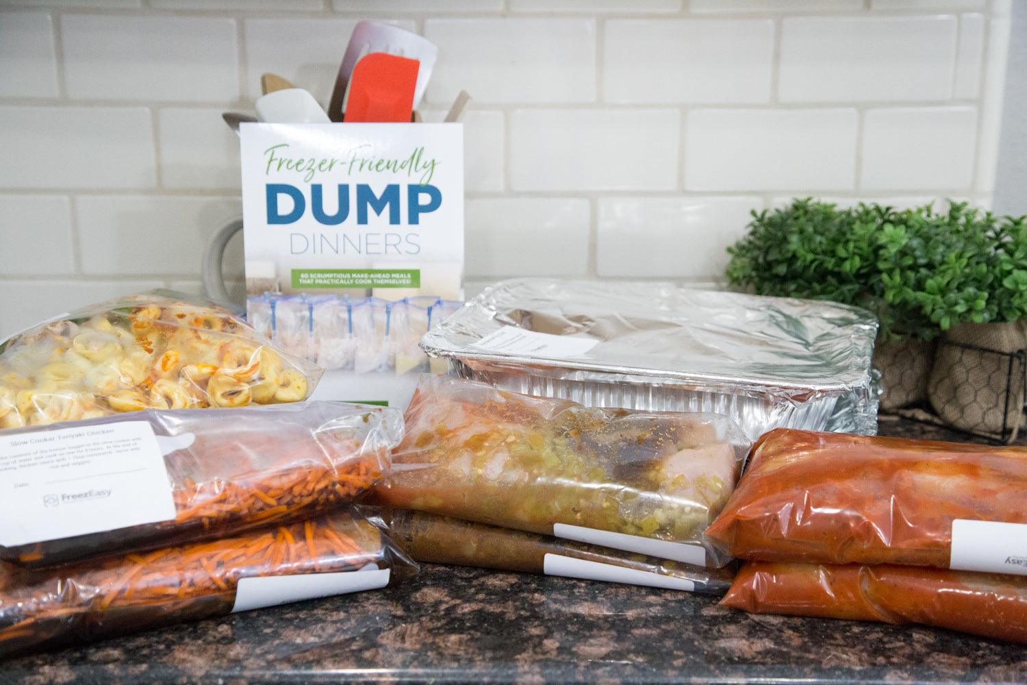 Book & Labels Kit for Dump Dinners Freezer Meals - Erin Chase Store