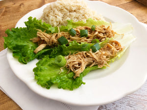 hoisin chicken from slow cooker cookbook erin chase